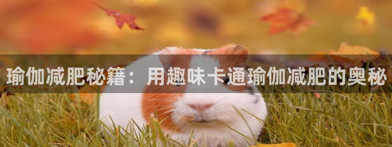 必赢网址官网入口167